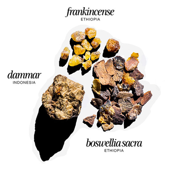 UnitedOther - Cosmically Incense Ropes